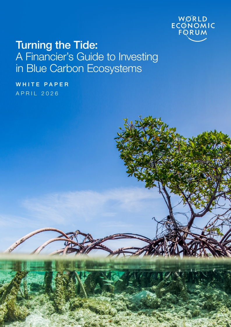 WEF_Turning_the_Tide_A_Financier's_Guide_to_Investing_in_Blue_Carbon_Ecosystems_2026_1.jpg