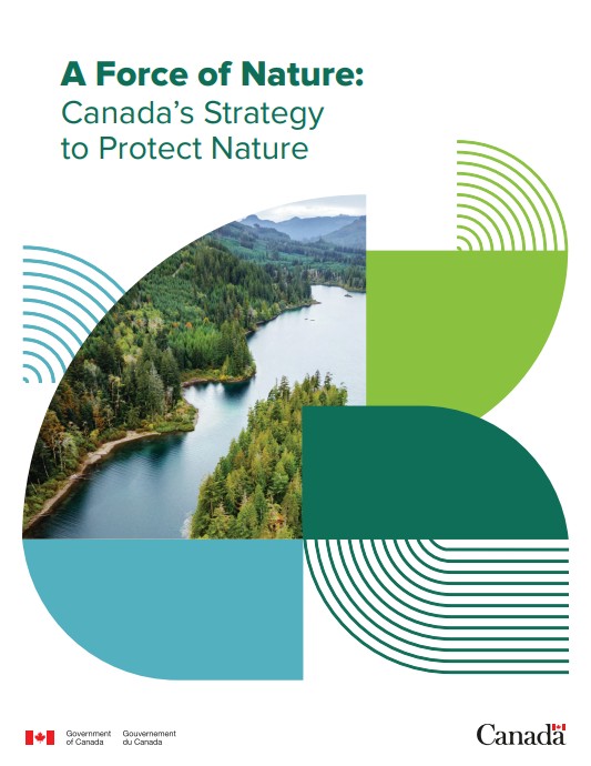 화면 캡처 2026-04-17 170411.jpg